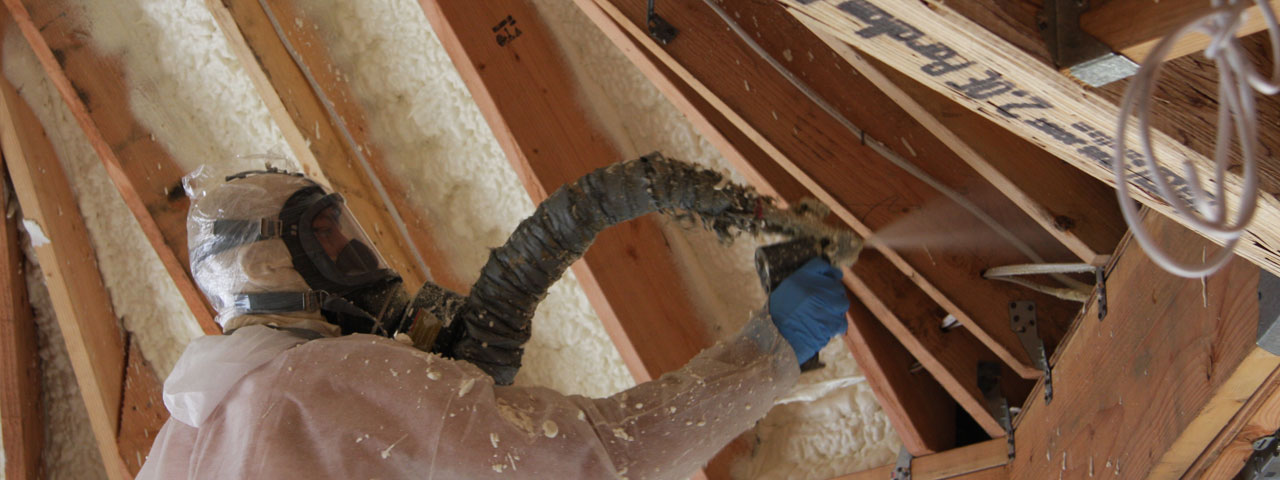 Alexandria Virginia Attic Insulation Spray Foam